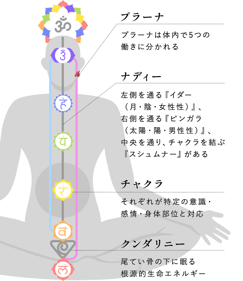 チャクラ図